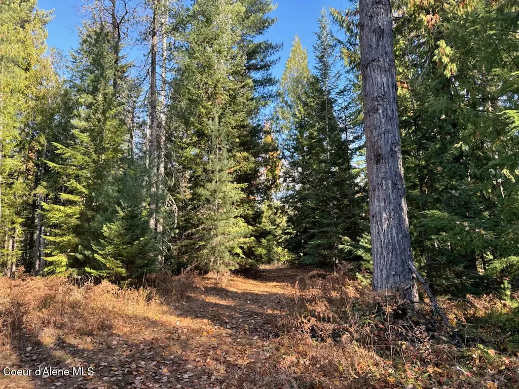 Nna Selkirk Road Sandpoint ID 83864