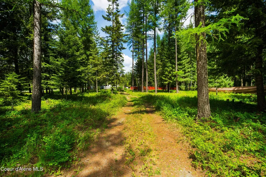 41 Pinecone Road Sandpoint ID 83864