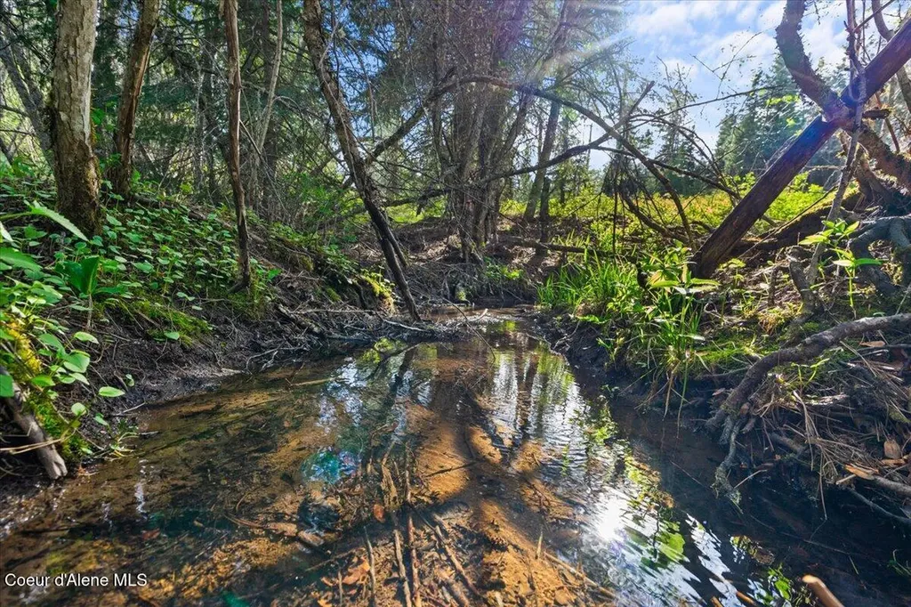 Nka Mutch Creek Road 8.3 St. Maries ID 83861