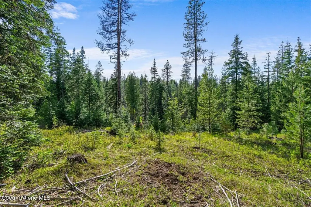 Nka Mutch Creek Road 8.3 St. Maries ID 83861