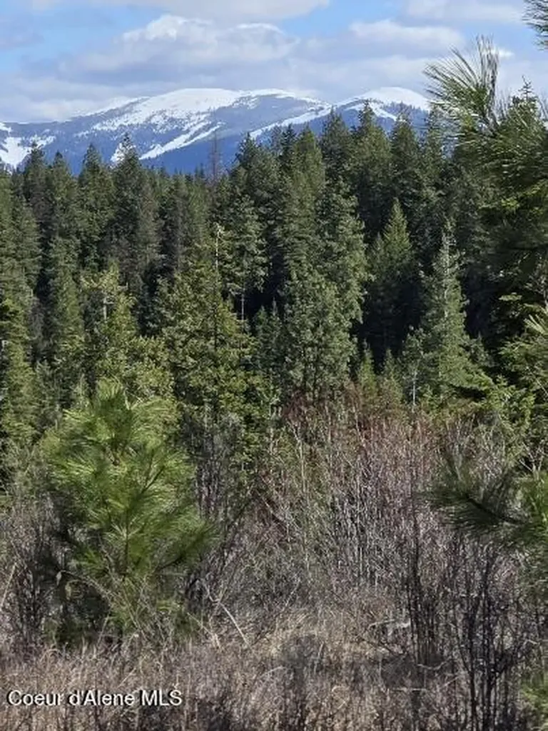 Nka Mutch Creek Road 8.3 St. Maries ID 83861