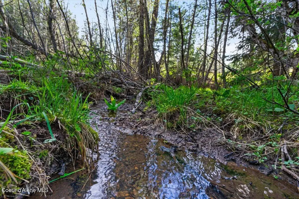 Nka Mutch Creek Road 8.3 St. Maries ID 83861