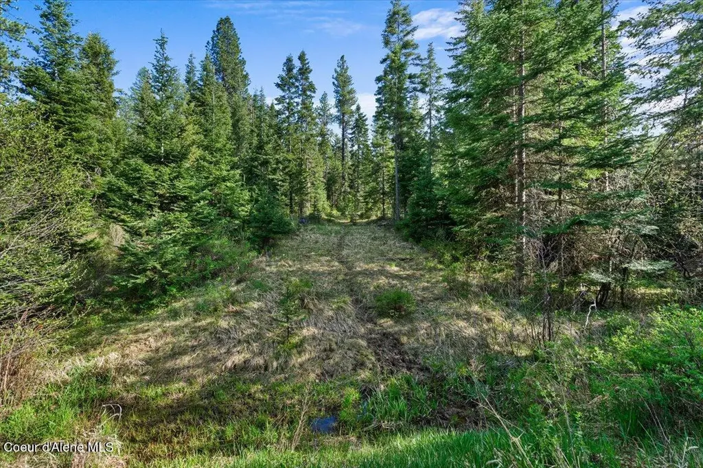 Nka Mutch Creek Road 8.3 St. Maries ID 83861