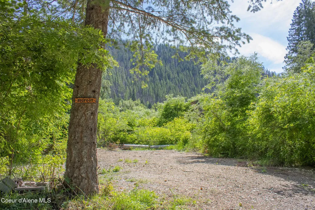 20264 Coeur D'alene River Road Kingston ID 83839
