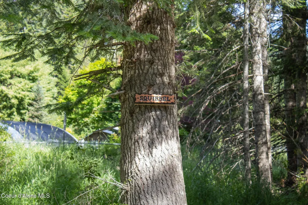 20264 Coeur D'alene River Road Kingston ID 83839