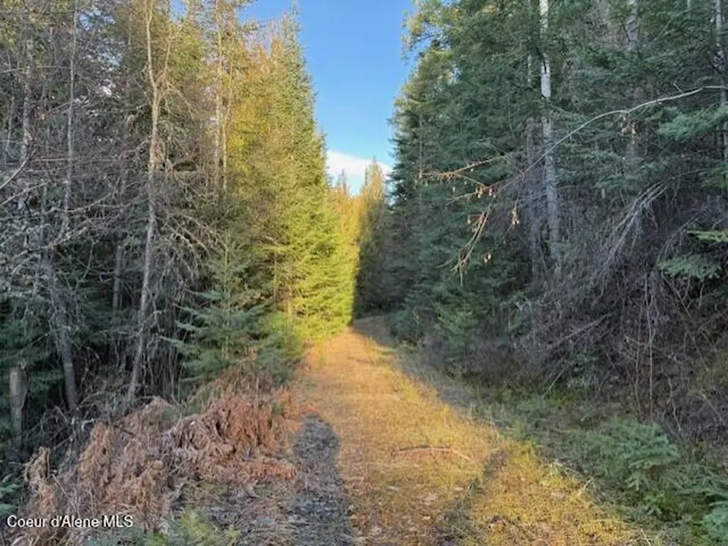 Nna Half Round Bay Lot 5 Harrison ID 83833
