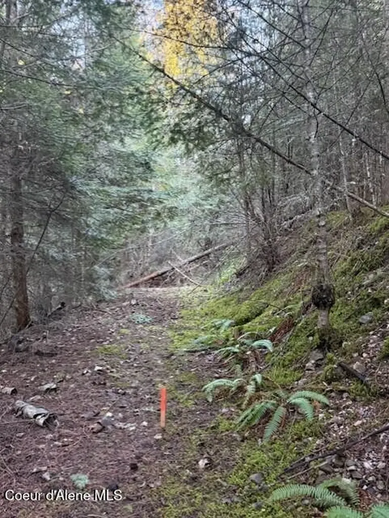 Nna Half Round Bay Lot 5 Harrison ID 83833