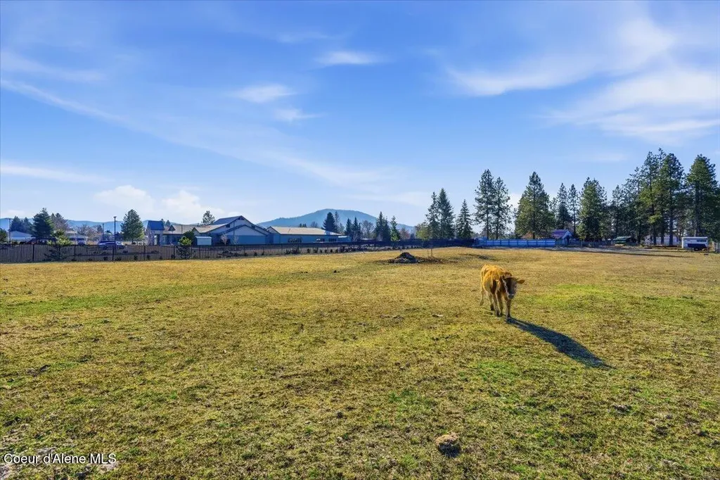 170 E Miles Avenue Hayden ID 83835