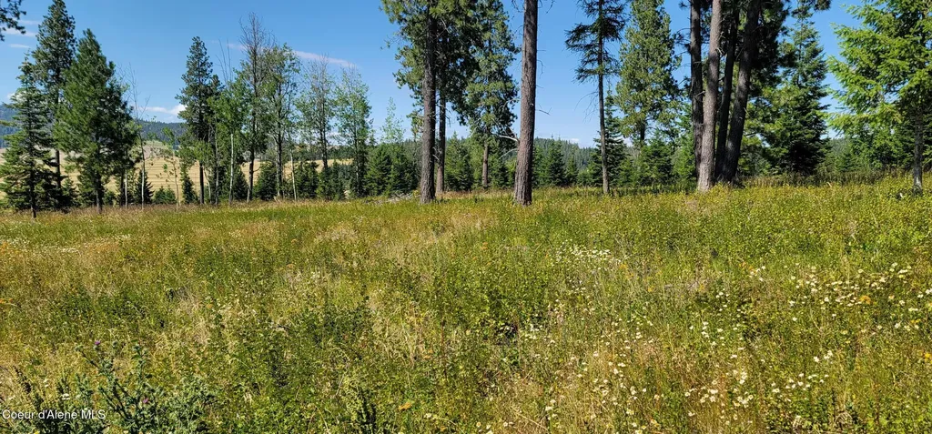 Nka Ranch Road Lot 6 Plummer ID 83851
