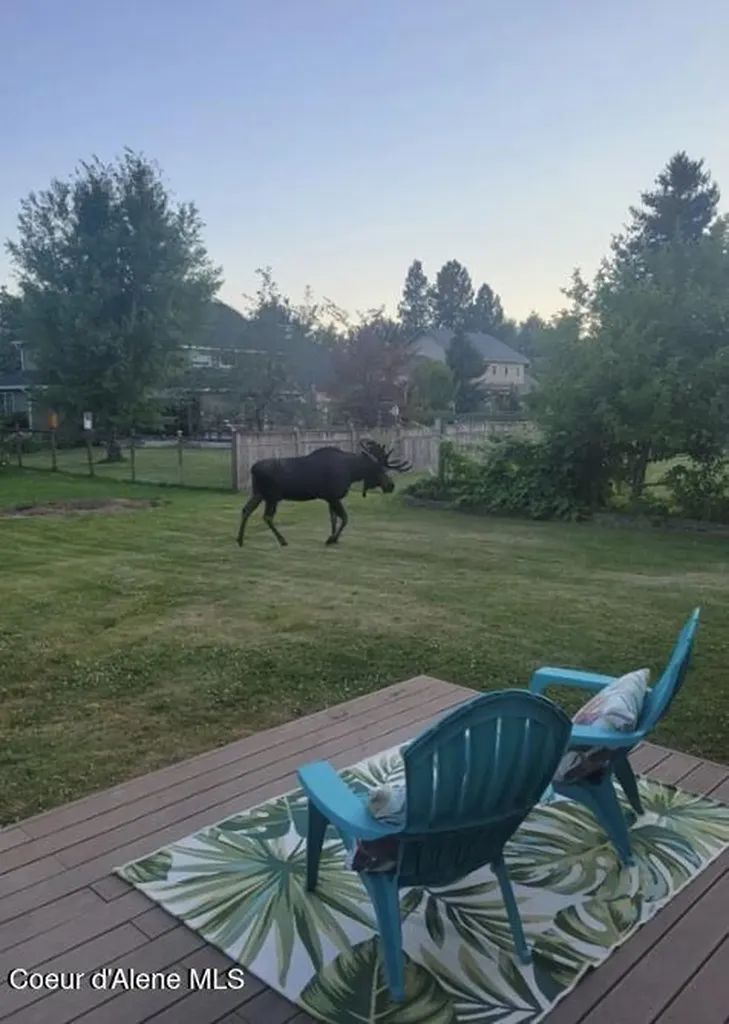 128 Spur Drive Sandpoint ID 83864