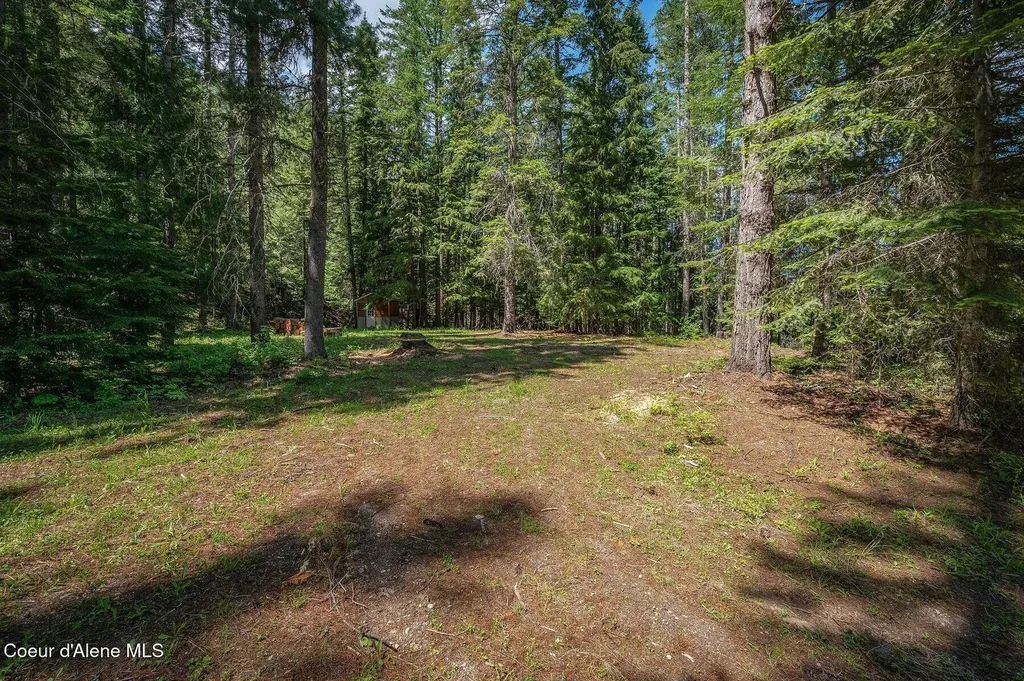 595 Tanglewood Drive Priest River ID 83856