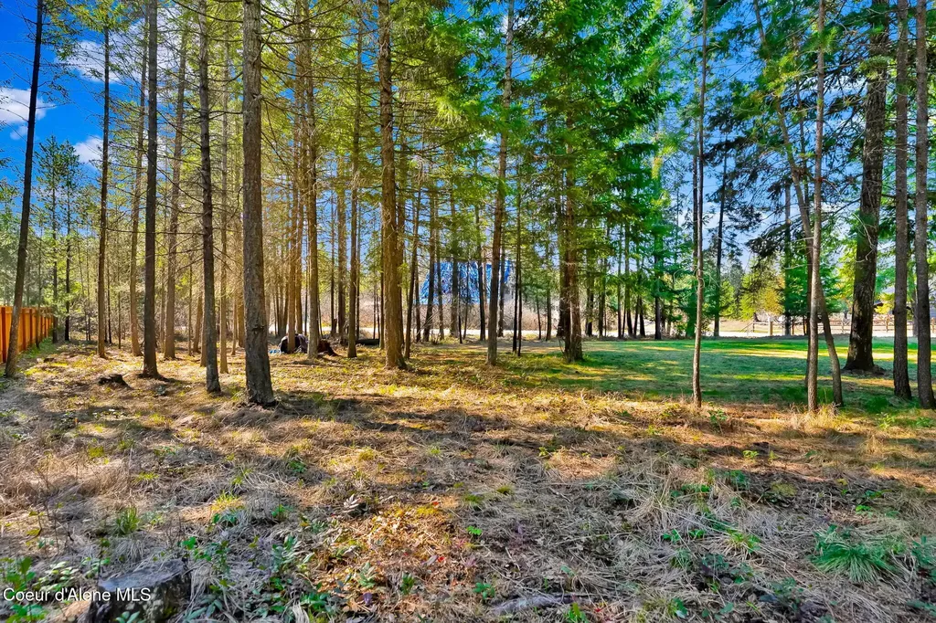 54 Star Road Bonners Ferry ID 83805