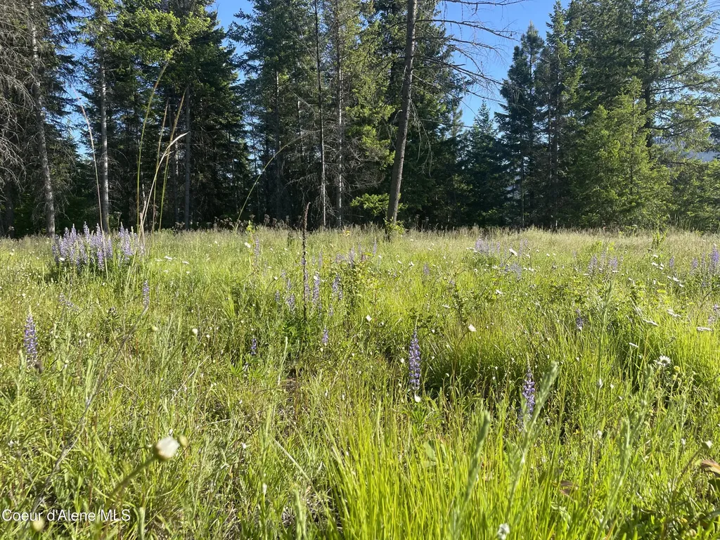 330 Living Waters Way Priest River ID 83856
