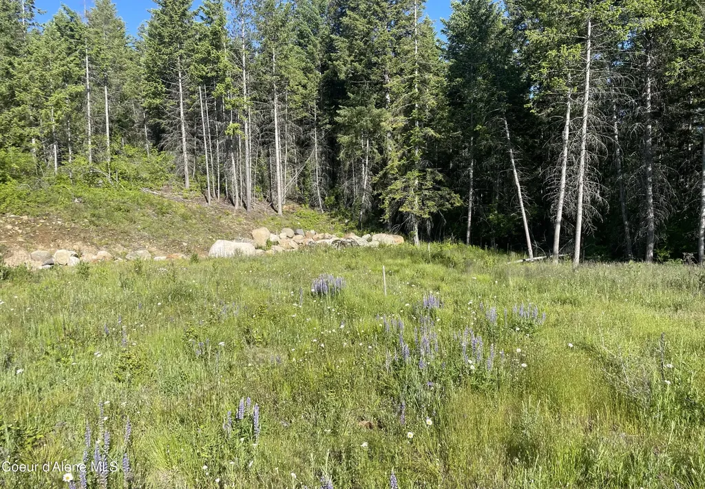 330 Living Waters Way Priest River ID 83856