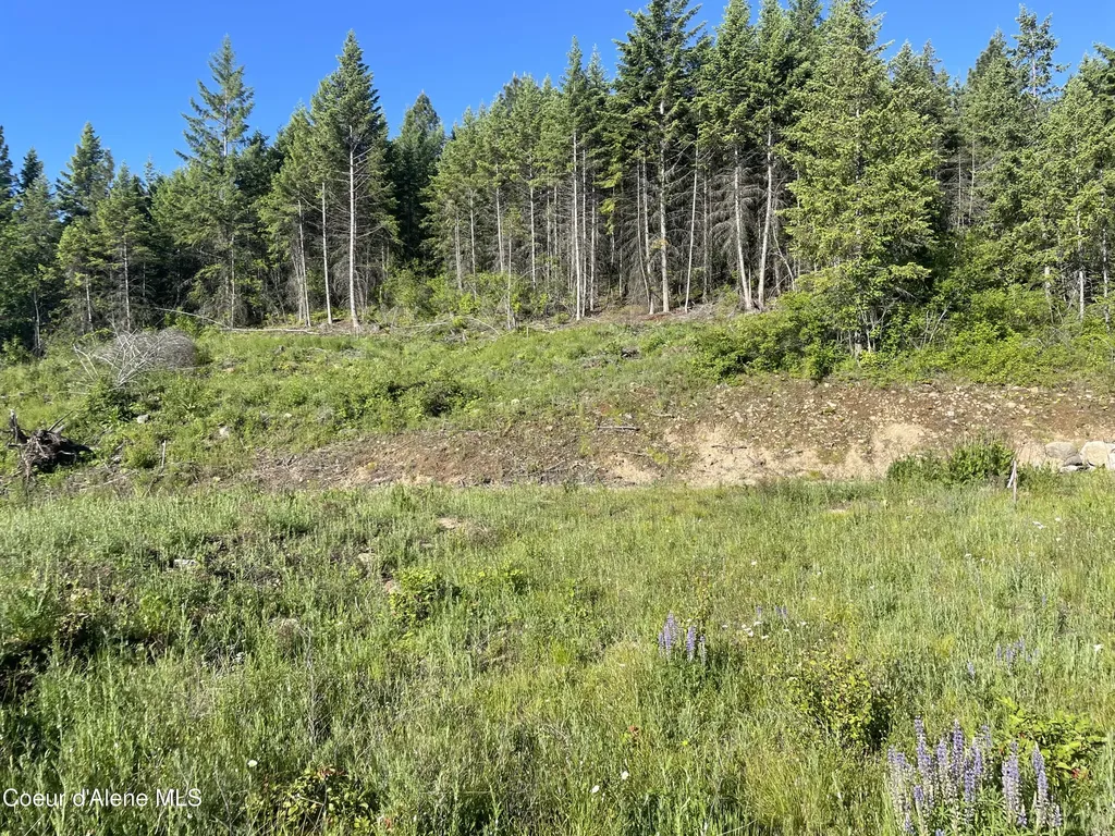 330 Living Waters Way Priest River ID 83856