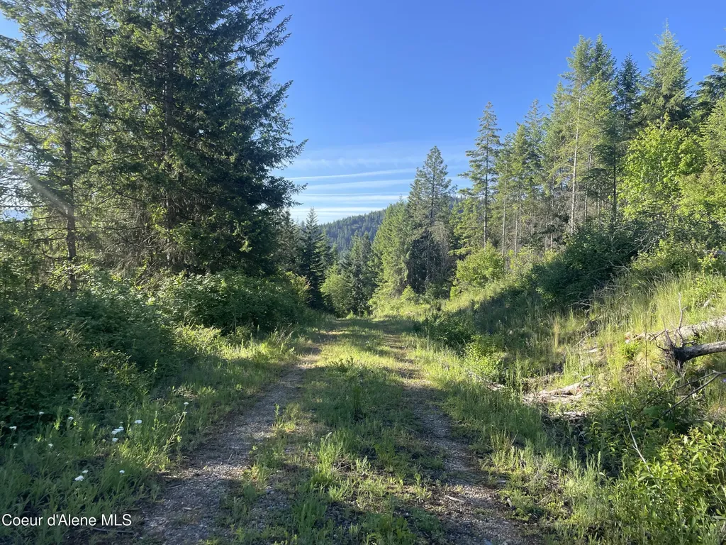 330 Living Waters Way Priest River ID 83856