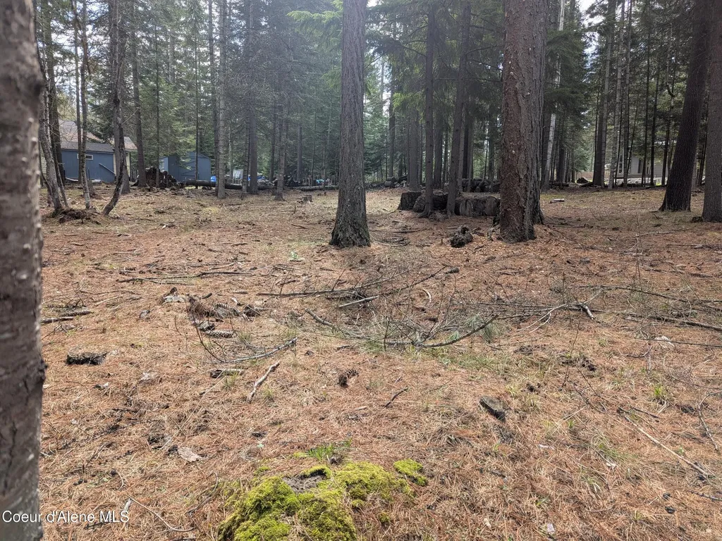 Nna W Florida Lot 3 Circle Worley ID 83876