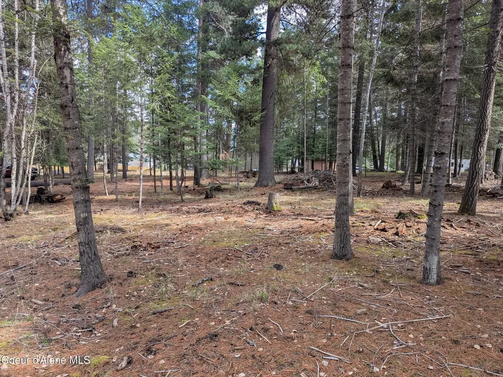 Nna W Florida Lot 3 Circle Worley ID 83876