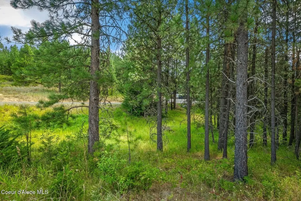 14558 N Saddle Ridge Road Rathdrum ID 83858