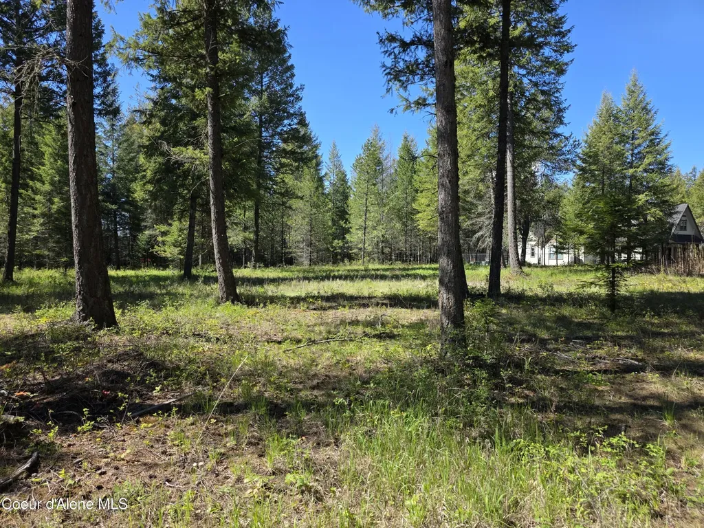 Nka (lot 81) Price Avenue Priest River ID 83856