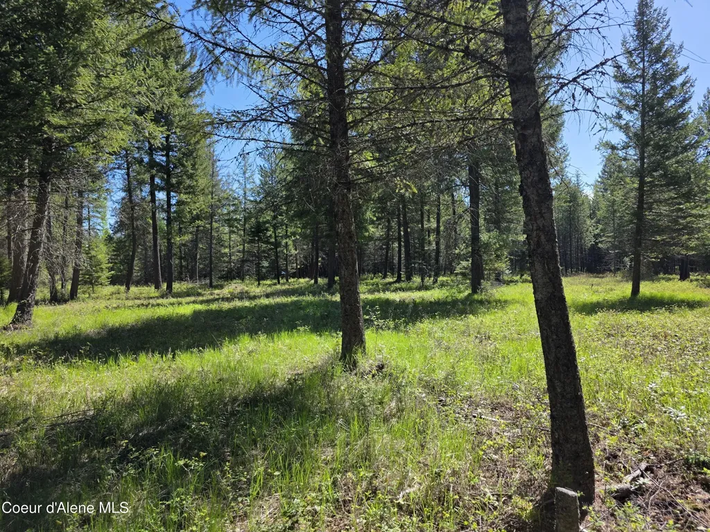 Nka (lot 81) Price Avenue Priest River ID 83856