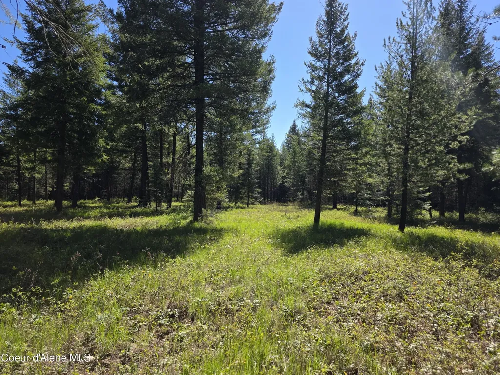 Nka (lot 81) Price Avenue Priest River ID 83856