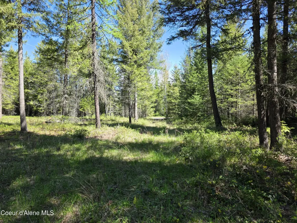 Nka (lot 81) Price Avenue Priest River ID 83856