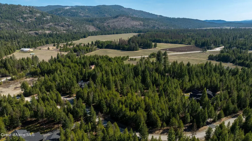 Nka (lot 81) Price Avenue Priest River ID 83856