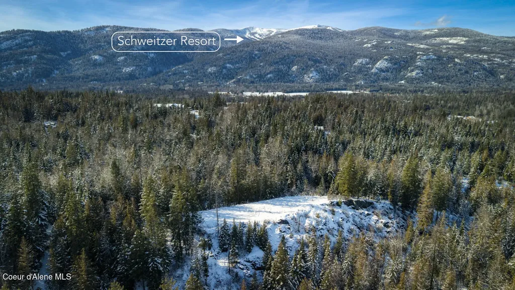 1356 Hidden Valley Sandpoint ID 83864
