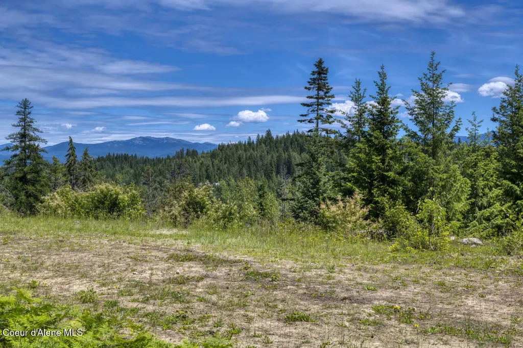 1356 Hidden Valley Sandpoint ID 83864