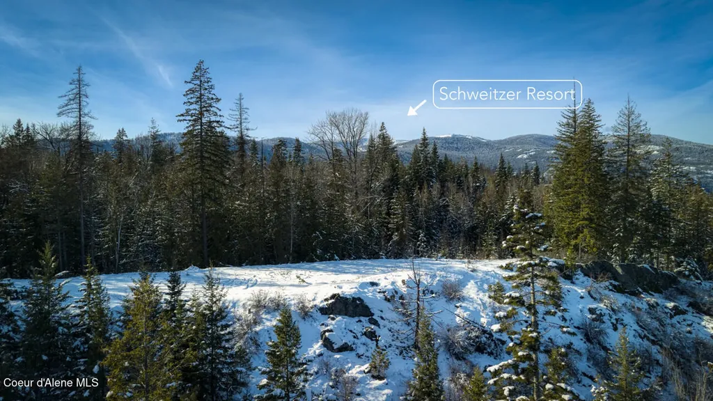 1356 Hidden Valley Sandpoint ID 83864