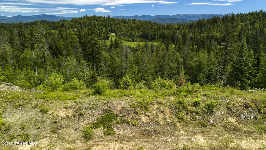1356 Hidden Valley Sandpoint ID 83864