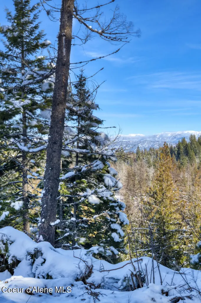 1356 Hidden Valley Sandpoint ID 83864