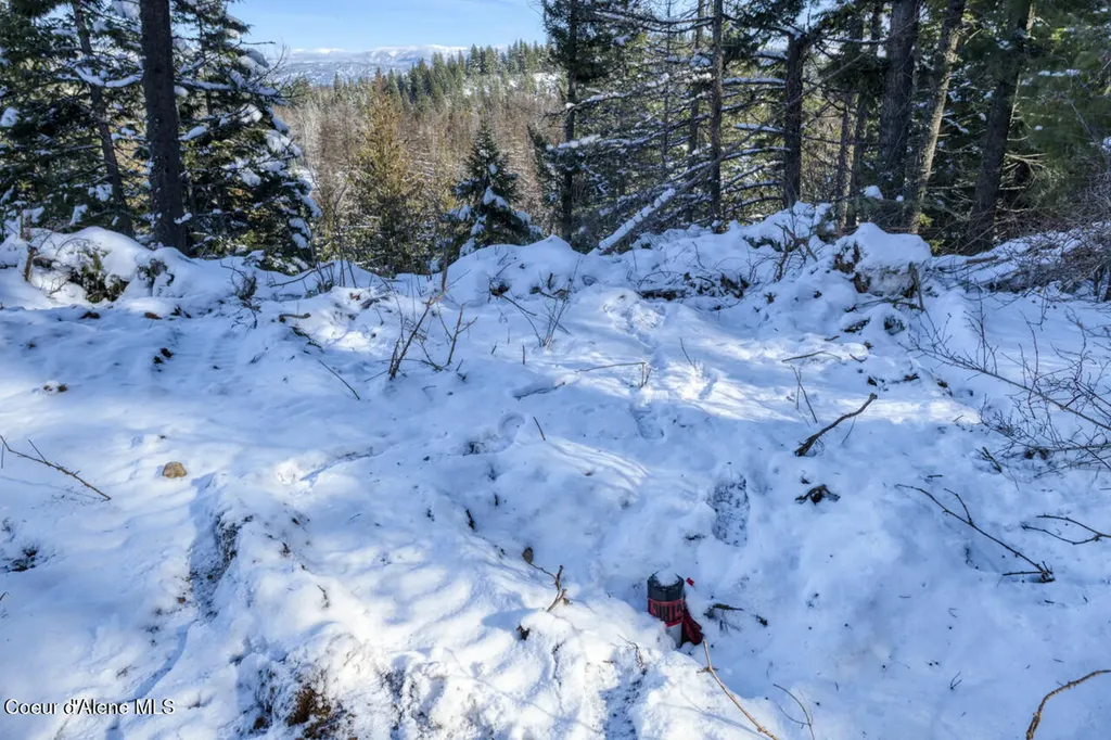 1356 Hidden Valley Sandpoint ID 83864