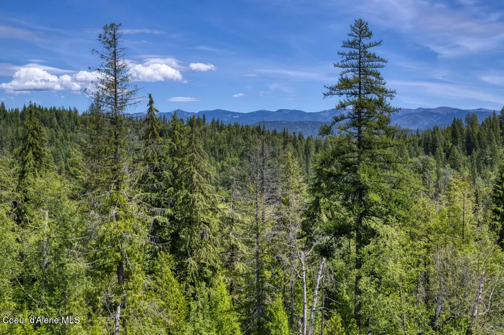 1356 Hidden Valley Sandpoint ID 83864