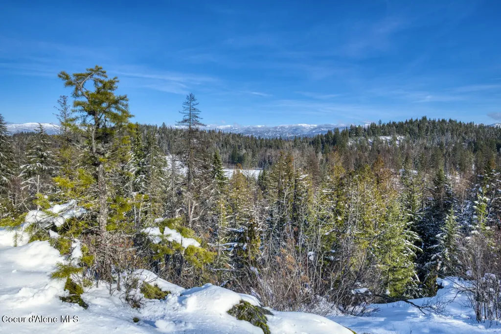 1356 Hidden Valley Sandpoint ID 83864
