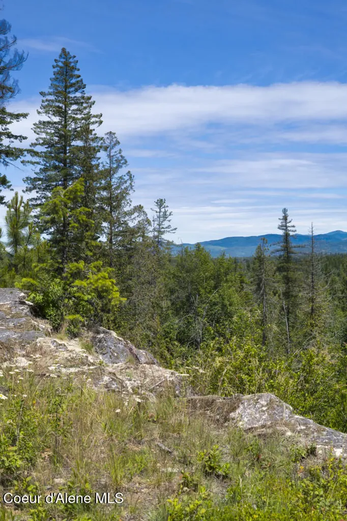 1356 Hidden Valley Sandpoint ID 83864