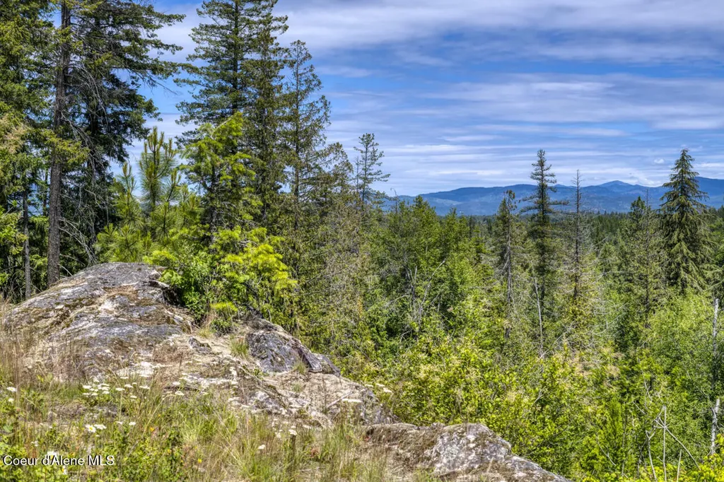 1356 Hidden Valley Sandpoint ID 83864