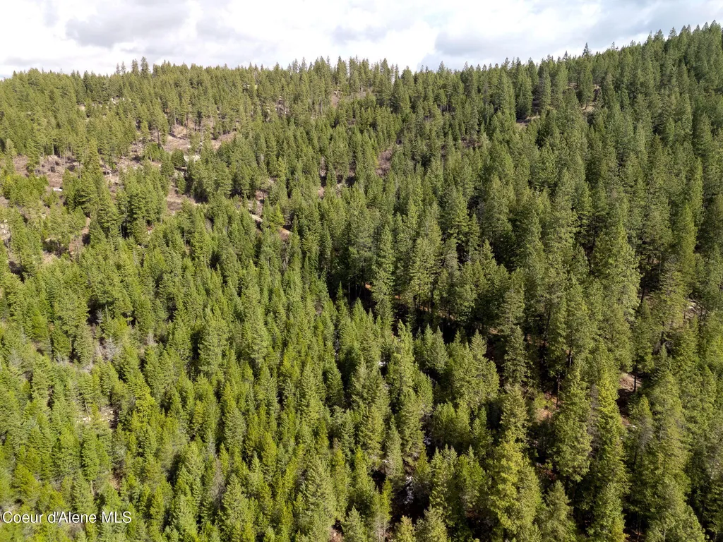 Nna Quiet Heights Road Athol ID 83801
