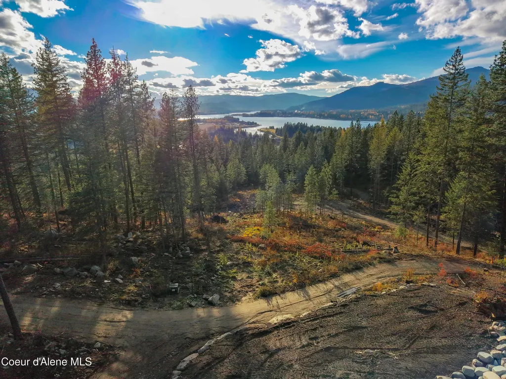 320 & Nna Towering Pines (11.25ac) Sagle ID 83860