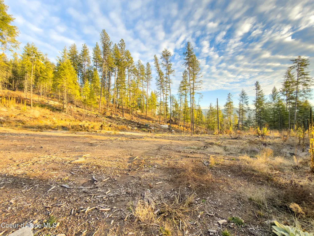 320 & Nna Towering Pines (11.25ac) Sagle ID 83860