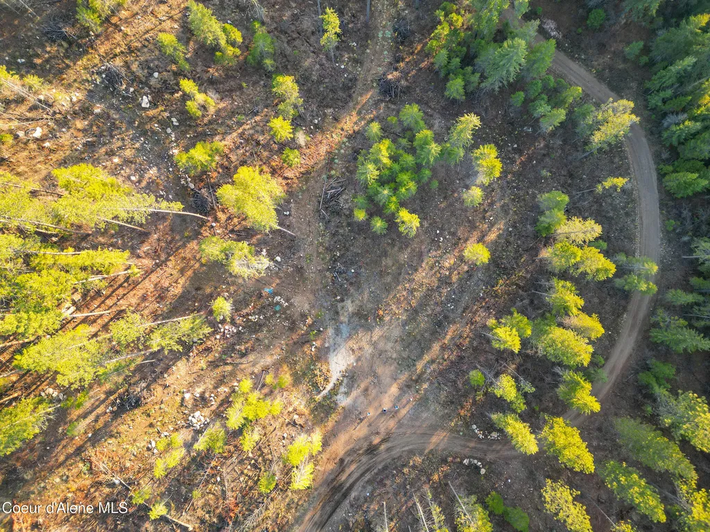 320 & Nna Towering Pines (11.25ac) Sagle ID 83860