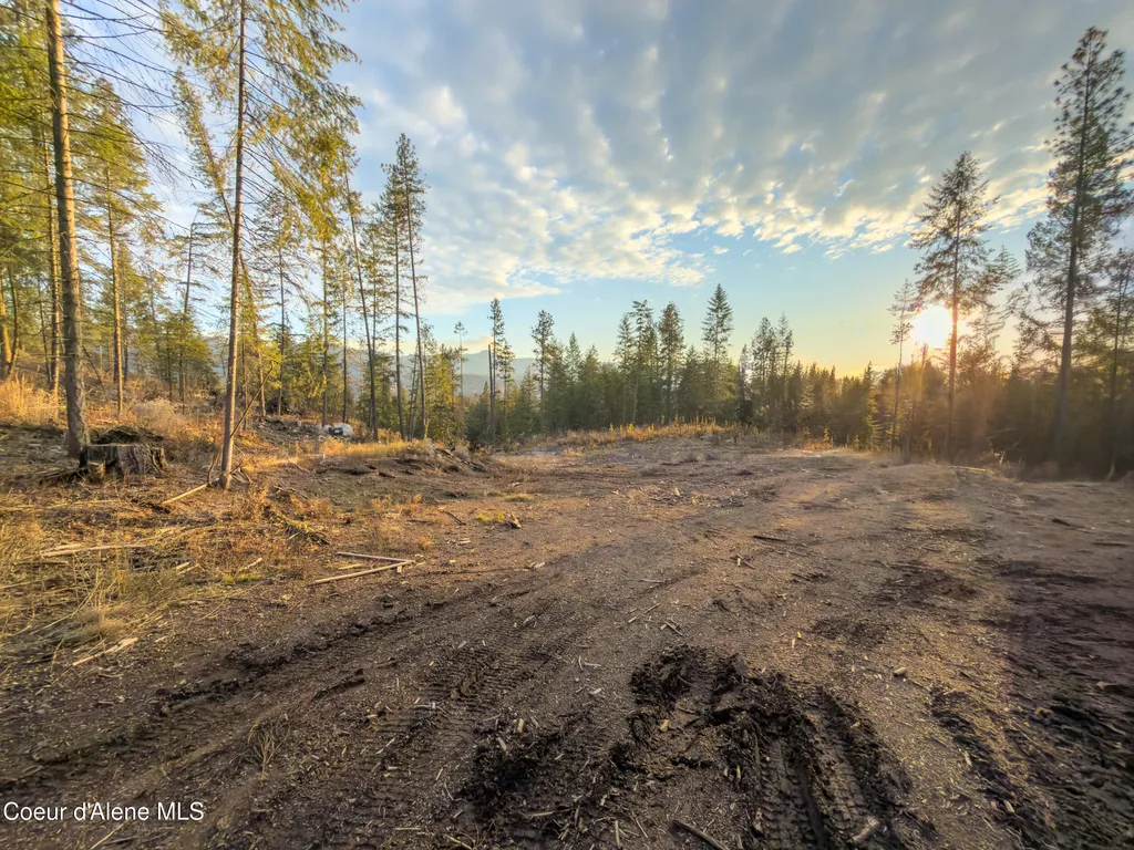 320 & Nna Towering Pines (11.25ac) Sagle ID 83860