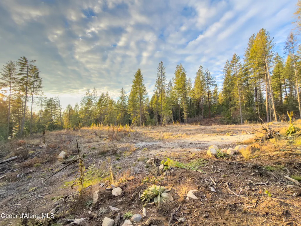 320 & Nna Towering Pines (11.25ac) Sagle ID 83860