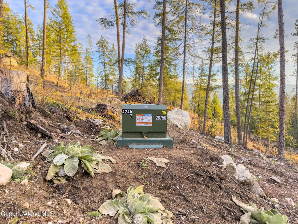 320 & Nna Towering Pines (11.25ac) Sagle ID 83860