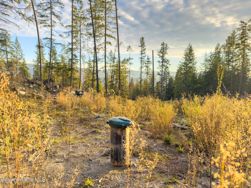320 & Nna Towering Pines (11.25ac) Sagle ID 83860
