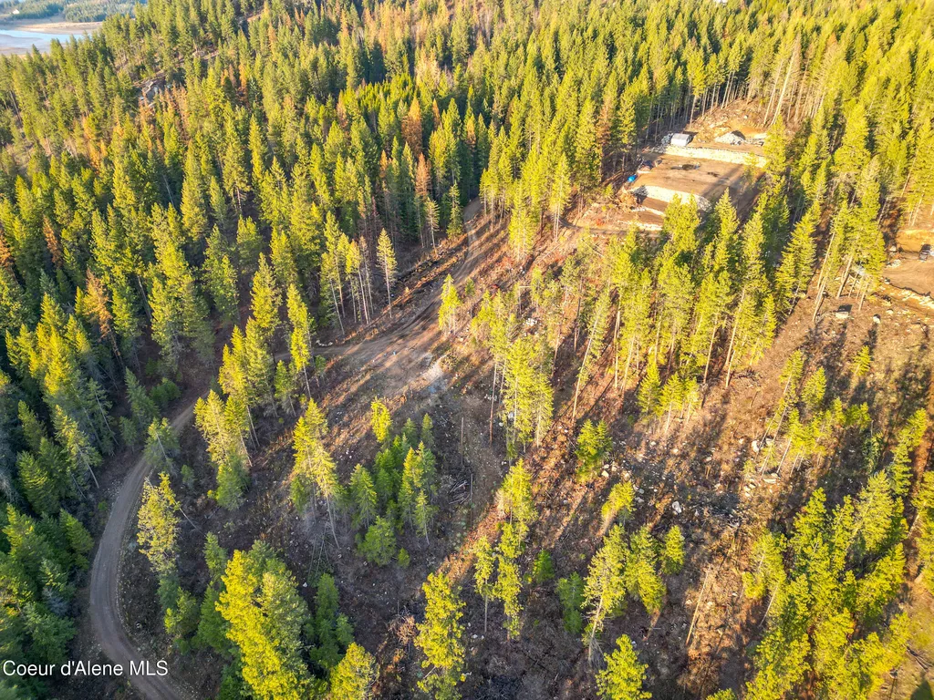 320 & Nna Towering Pines (11.25ac) Sagle ID 83860