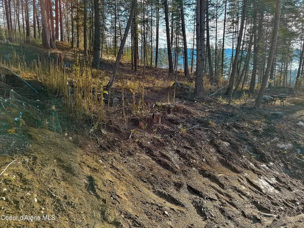 320 & Nna Towering Pines (11.25ac) Sagle ID 83860