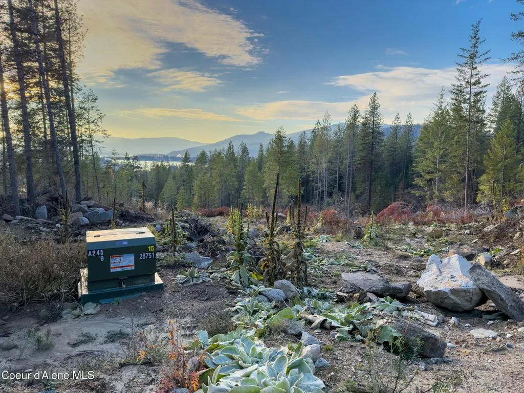 320 Towering Pines Drive (5 Ac) Sagle ID 83860