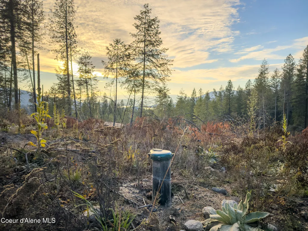 320 Towering Pines Drive (5 Ac) Sagle ID 83860